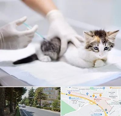 واکسیناسیون حیوانات در مهرویلا کرج