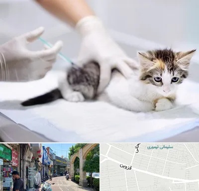 واکسیناسیون حیوانات در خیابان قزوین