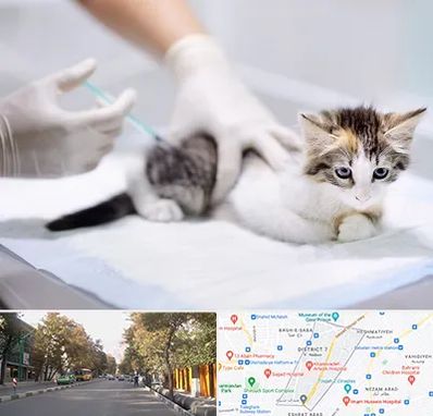 واکسیناسیون حیوانات در شریعتی 