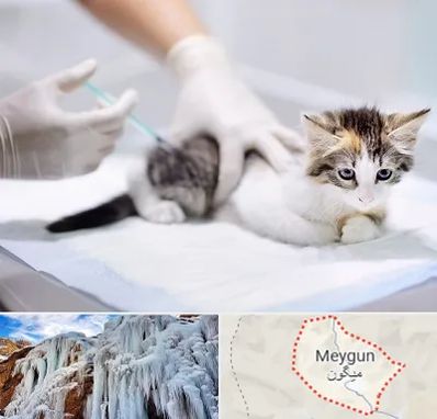 واکسیناسیون حیوانات در میگون