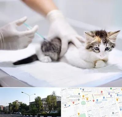 واکسیناسیون حیوانات در میدان کاج 