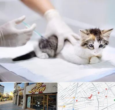 واکسیناسیون حیوانات در عطاران قم