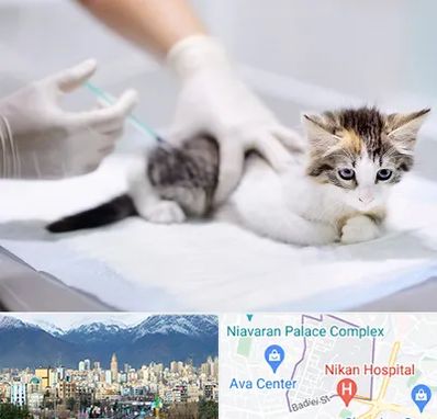 واکسیناسیون حیوانات در آجودانیه 