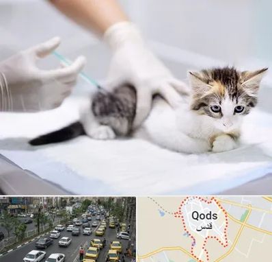 واکسیناسیون حیوانات در شهر قدس