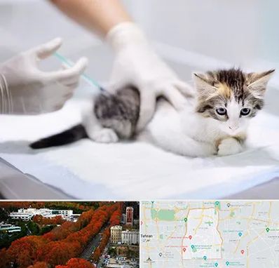 واکسیناسیون حیوانات در منطقه 6 تهران 