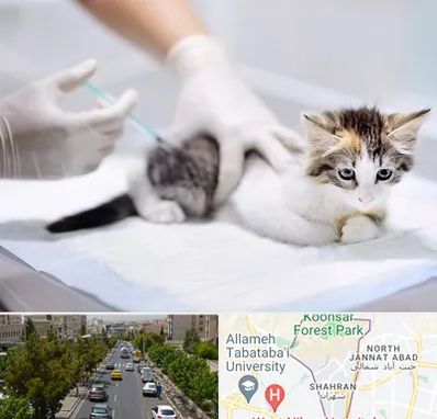 واکسیناسیون حیوانات در شهران 