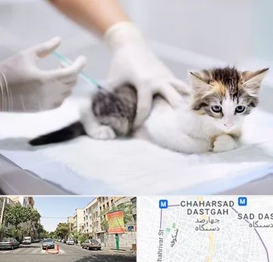 واکسیناسیون حیوانات در چهارصد دستگاه 