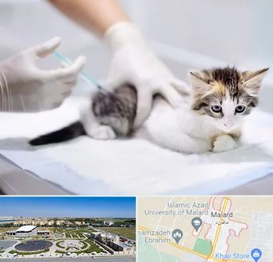 واکسیناسیون حیوانات در ملارد