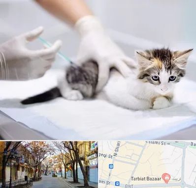 واکسیناسیون حیوانات در تربیت تبریز