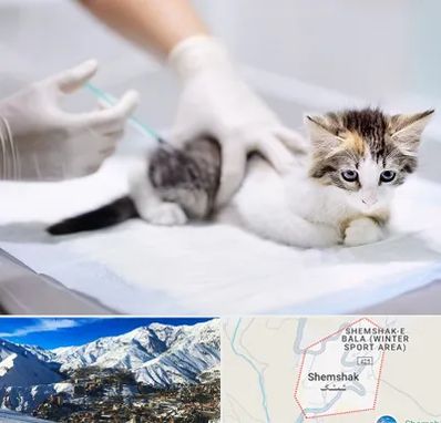 واکسیناسیون حیوانات در شمشک