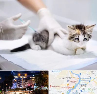 واکسیناسیون حیوانات در کیانپارس اهواز