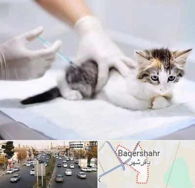 واکسیناسیون حیوانات در باقرشهر