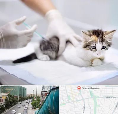 واکسیناسیون حیوانات در بلوار فرحزادی