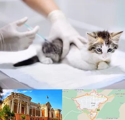 واکسیناسیون حیوانات در خوی