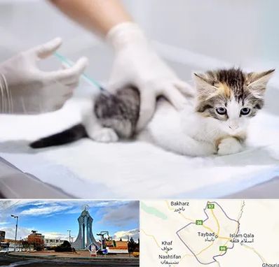 واکسیناسیون حیوانات در تایباد