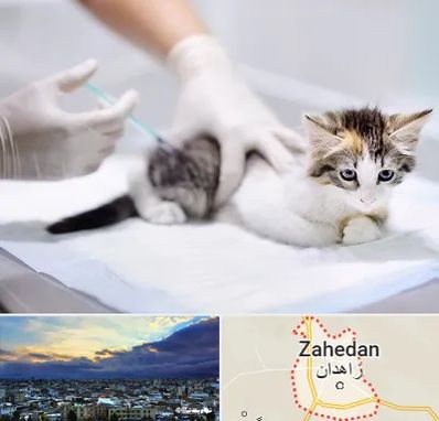 واکسیناسیون حیوانات در زاهدان