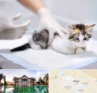 واکسیناسیون حیوانات در شیراز
