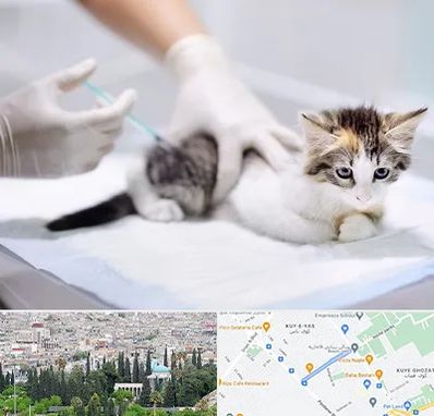 واکسیناسیون حیوانات در محلاتی شیراز