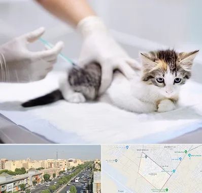 واکسیناسیون حیوانات در کیانمهر کرج