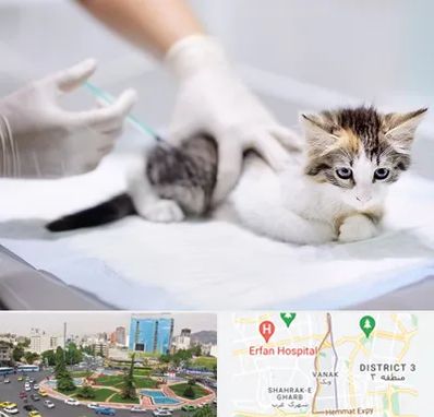 واکسیناسیون حیوانات در ونک 