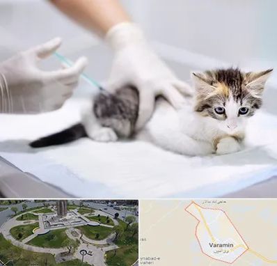 واکسیناسیون حیوانات در ورامین