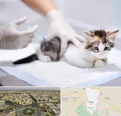 واکسیناسیون حیوانات در قزوین