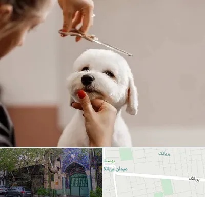 آرایشگاه پت در بریانک