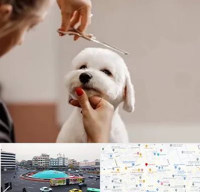 آرایشگاه پت در میدان انقلاب 