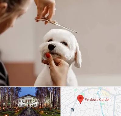 آرایشگاه پت در باغ فردوس