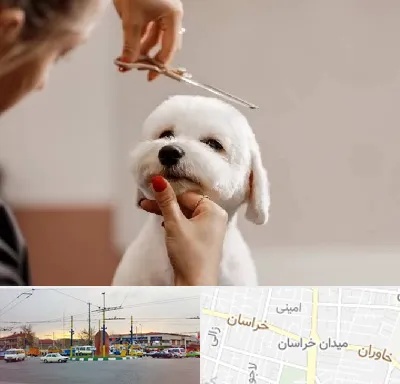 آرایشگاه پت در میدان خراسان