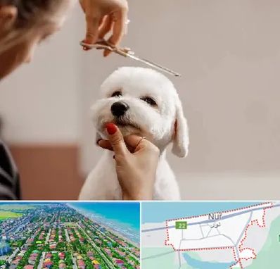 آرایشگاه پت در نور