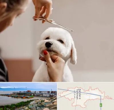 آرایشگاه پت در بندر ترکمن