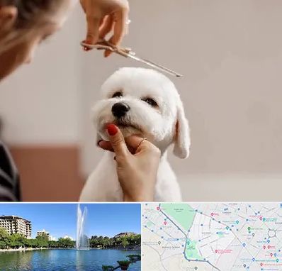 آرایشگاه پت در کوهسنگی مشهد