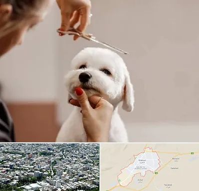 آرایشگاه پت در شاهرود