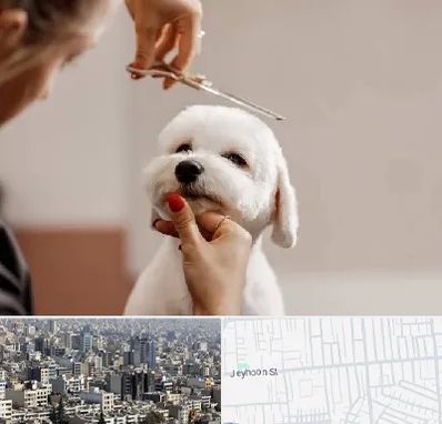 آرایشگاه پت در جیحون