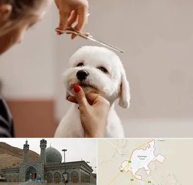 آرایشگاه پت در شهرضا