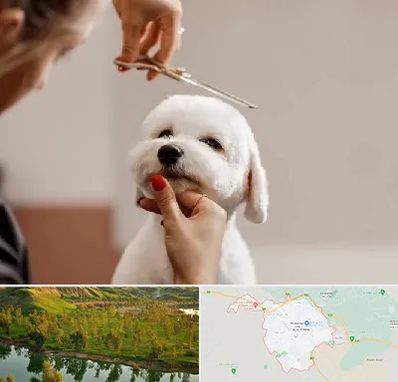 آرایشگاه پت در بهبهان