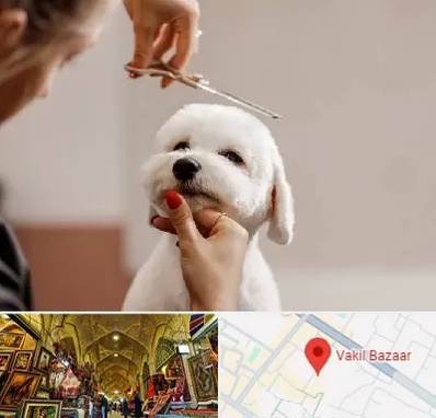 آرایشگاه پت در بازار وکیل شیراز