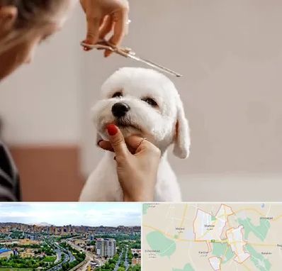 آرایشگاه پت در شهریار