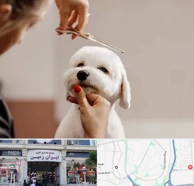 آرایشگاه پت در ایران زمین