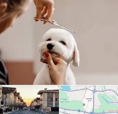 آرایشگاه پت در کوهک