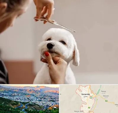 آرایشگاه پت در سنندج