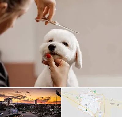 آرایشگاه پت در قوچان