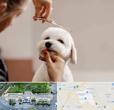 آرایشگاه پت در نسیم شهر