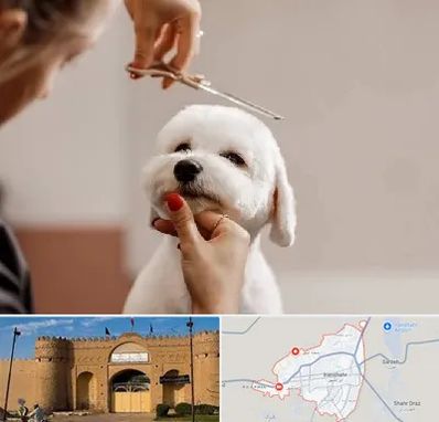 آرایشگاه پت در ایرانشهر