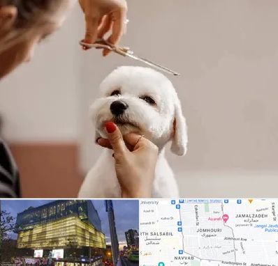 آرایشگاه پت در جمهوری 