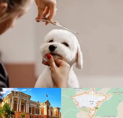 آرایشگاه پت در خوی