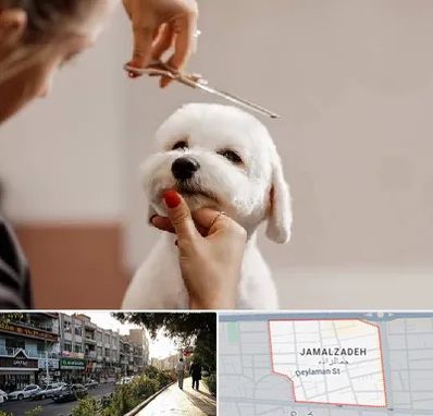 آرایشگاه پت در خیابان جمالزاده