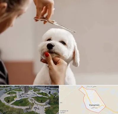 آرایشگاه پت در ورامین