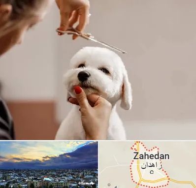 آرایشگاه پت در زاهدان